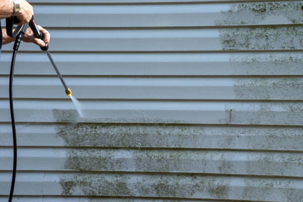 Best Residential Junk Removal  in Rutledge, TN